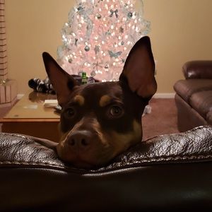 Meet your Posher, Kurt